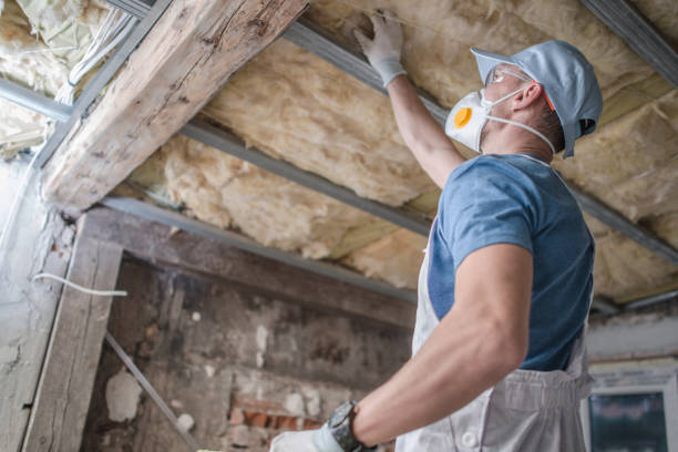 Best Eco-Friendly Insulation in Harrodsburg, KY